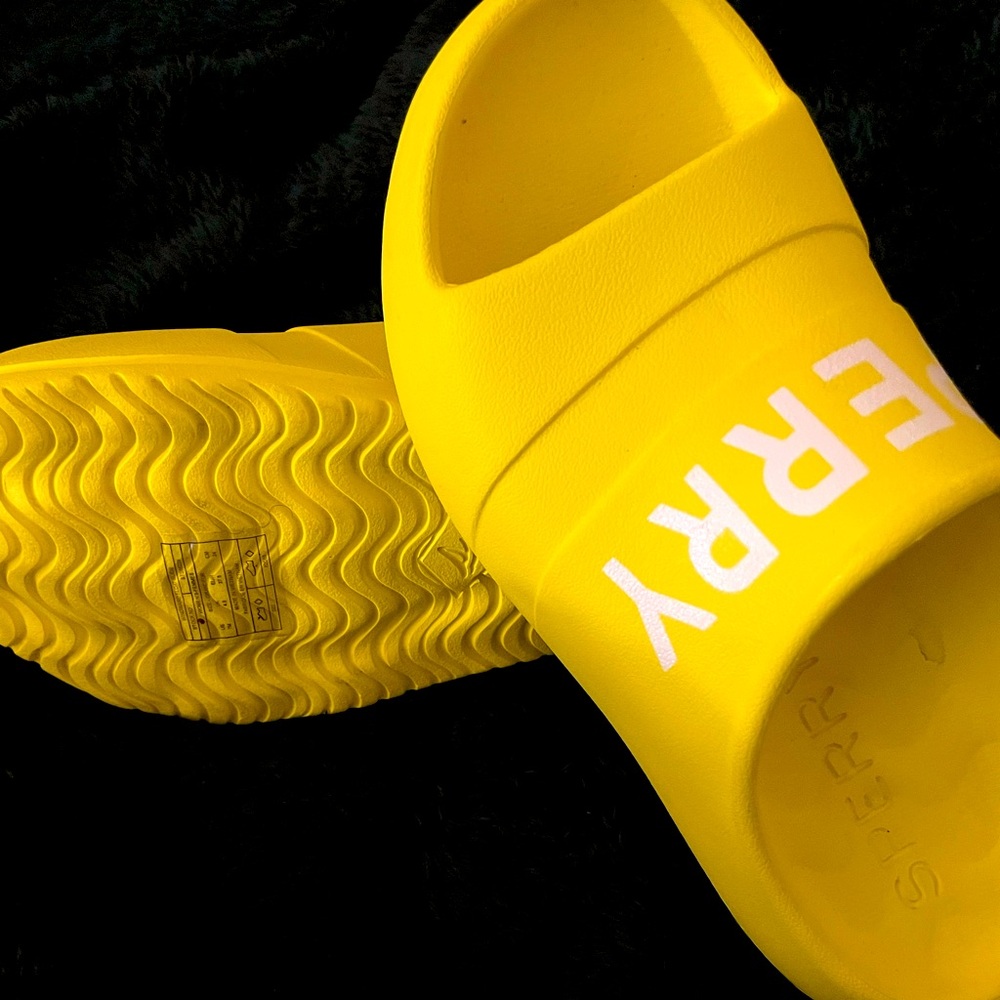 NWT SPERRY slides